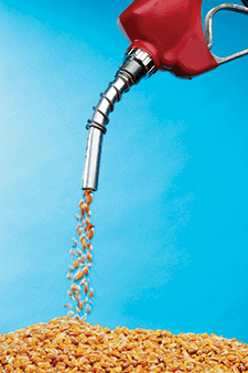 Screw Press Biofuels - Biodiesel Processing